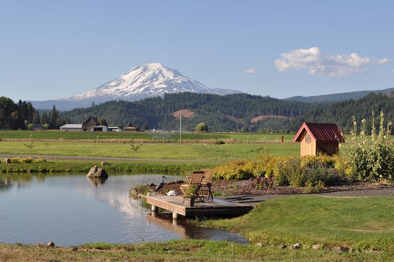 view overlooking a pond - Mt Adams in Trout Lake, Washington