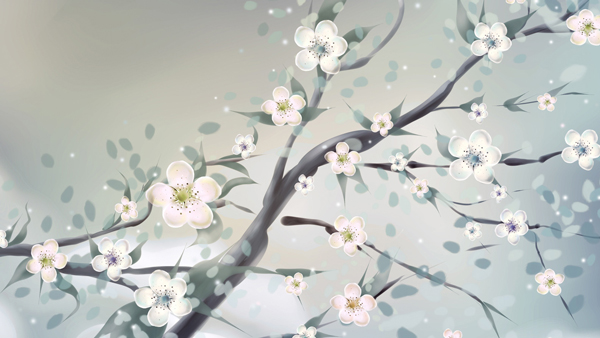 apricot tree with blossoms
