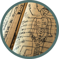 nnbm-home-icon-3