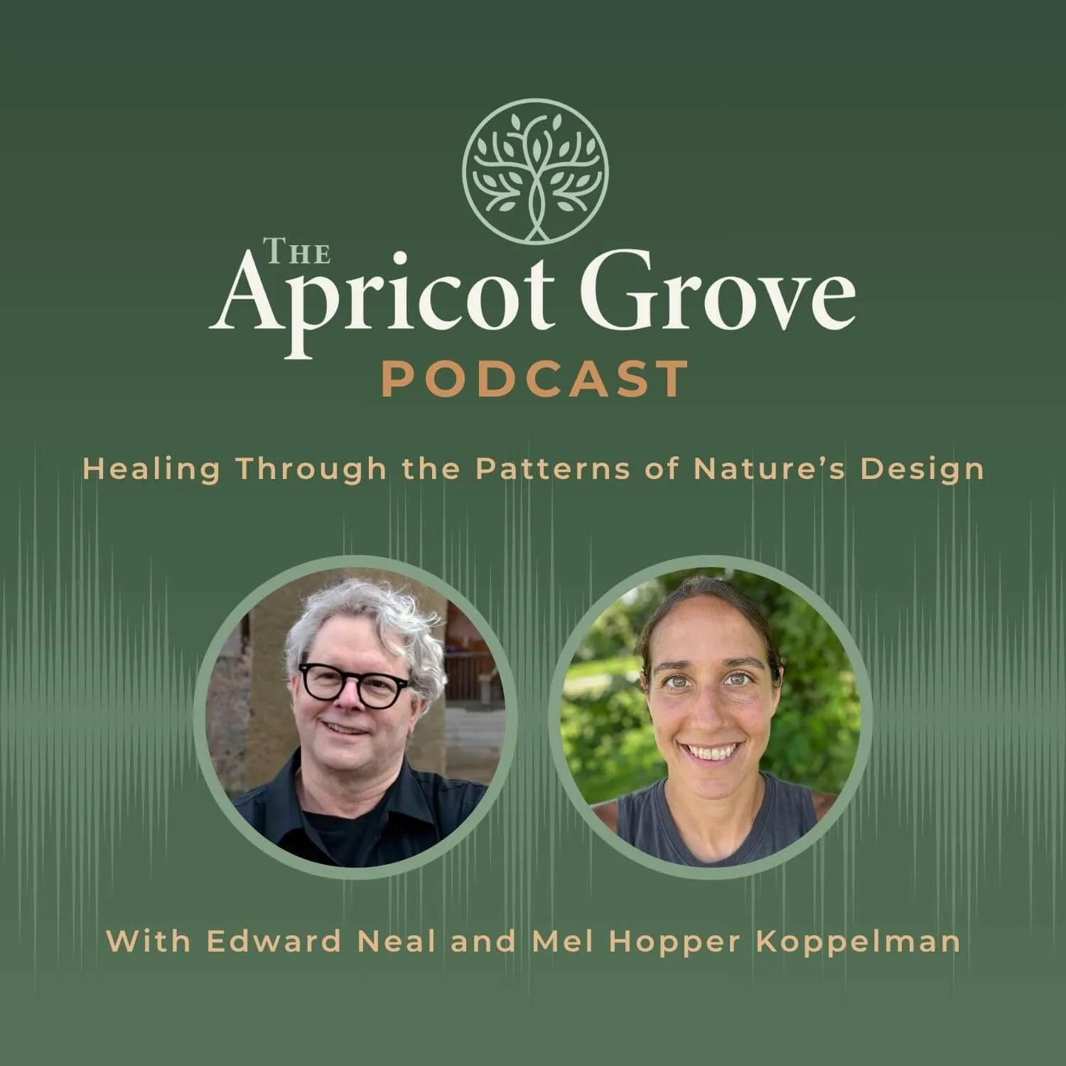 The Apricot Grove podcast | Neijing Nature-Based Medicine with Dr. Edward Neal